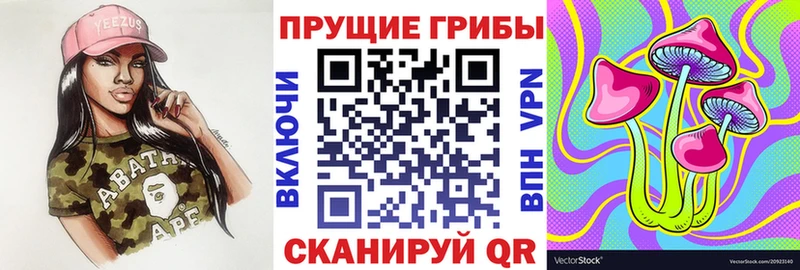 Галлюциногенные грибы Psilocybe  Вологда 